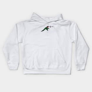 Hummingbird Kids Hoodie